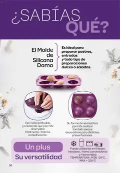 Tupperware Folleto │ válido desde el 08.09.2025 | Página: 37 | Productos: Flexible, Horno, Molde