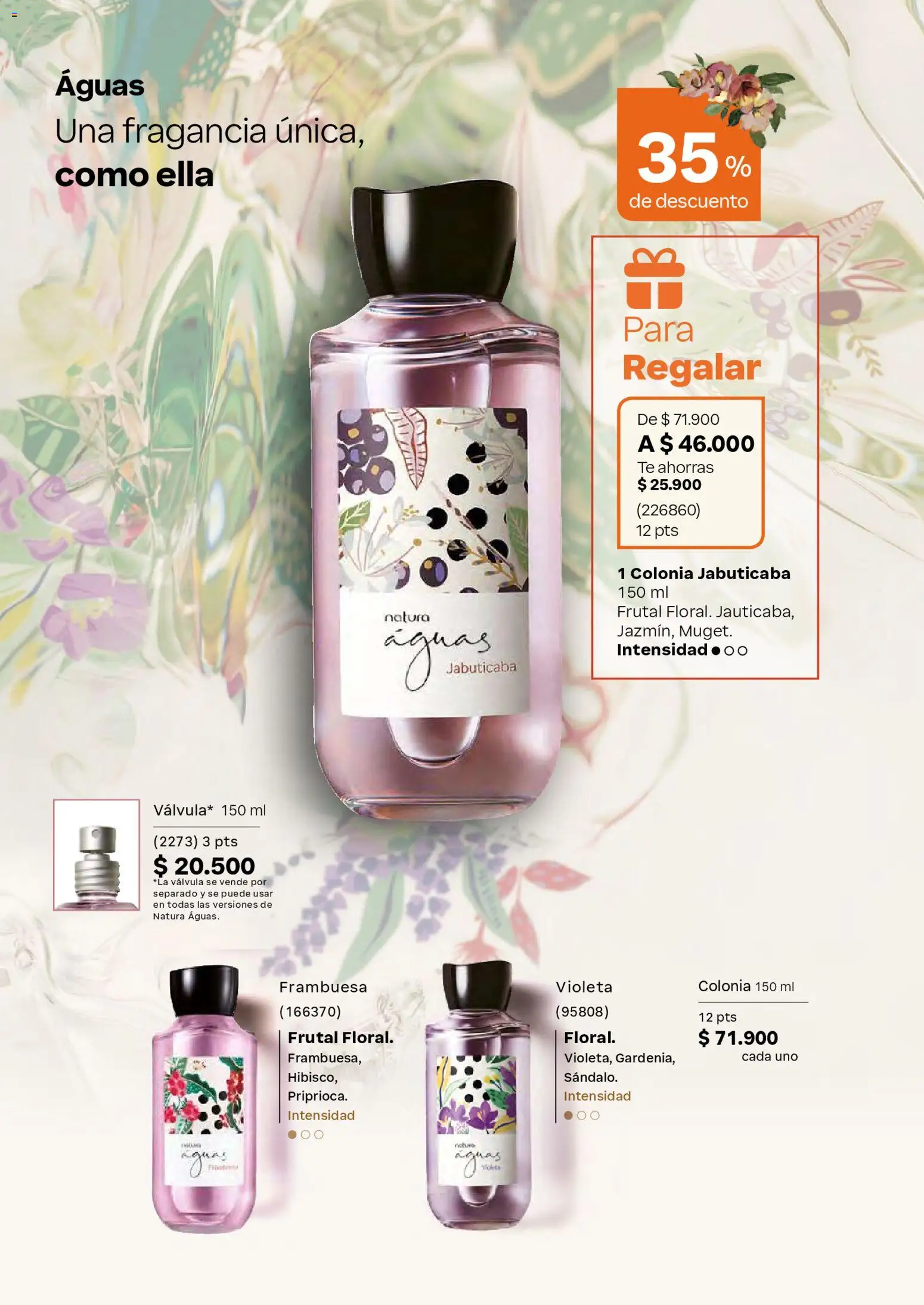 Natura revista - valida desde el 01.03.2026 | Página: 67 | Productos: Té, Fragancia, Válvula