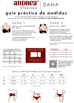 Vista previa de Andrea catálogo Lancería, Vestir Interior otoño 2025, nuevo folleto de la tienda, válido en México a partir del 26.11.2025 | Página: 2 | Productos: Contorno, Cinta, Cinta métrica, Té