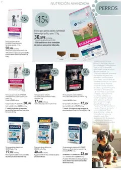 Vista previa de El Corte Inglés catálogo Mascota , nuevo folleto de la tienda, válido en México a partir del 07.01.2026 | Página: 3