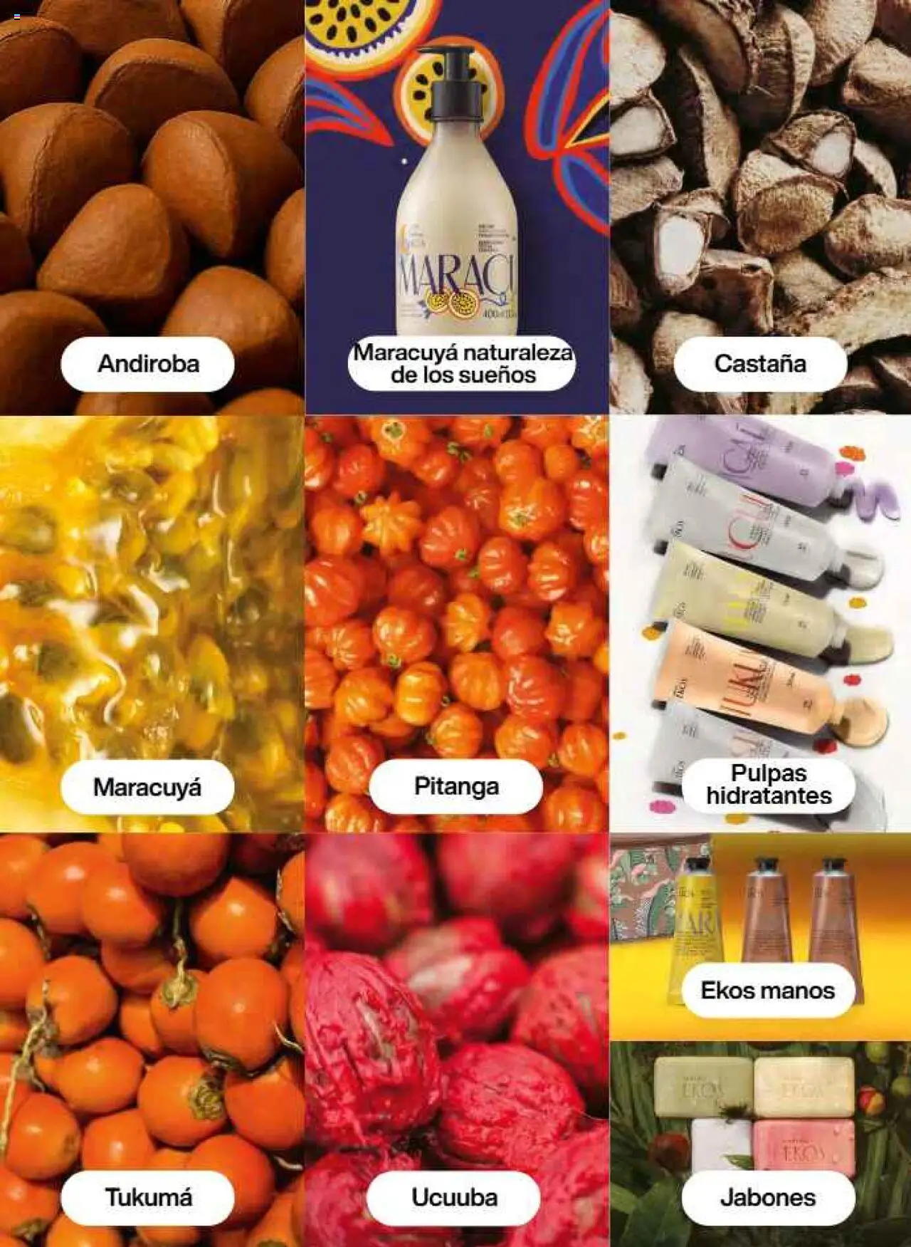 Nuevas ofertas de Natura válidas en toda la República Mexicana desde el 22.11.2025. ¡Encuentra las mejores ofertas en Natura campaña 17 2025! | Página: 121