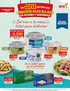 Ara - Catálogo -  Vista previa de la revista de la tienda Ara valido desde el 08.01.2026 | Página: 4