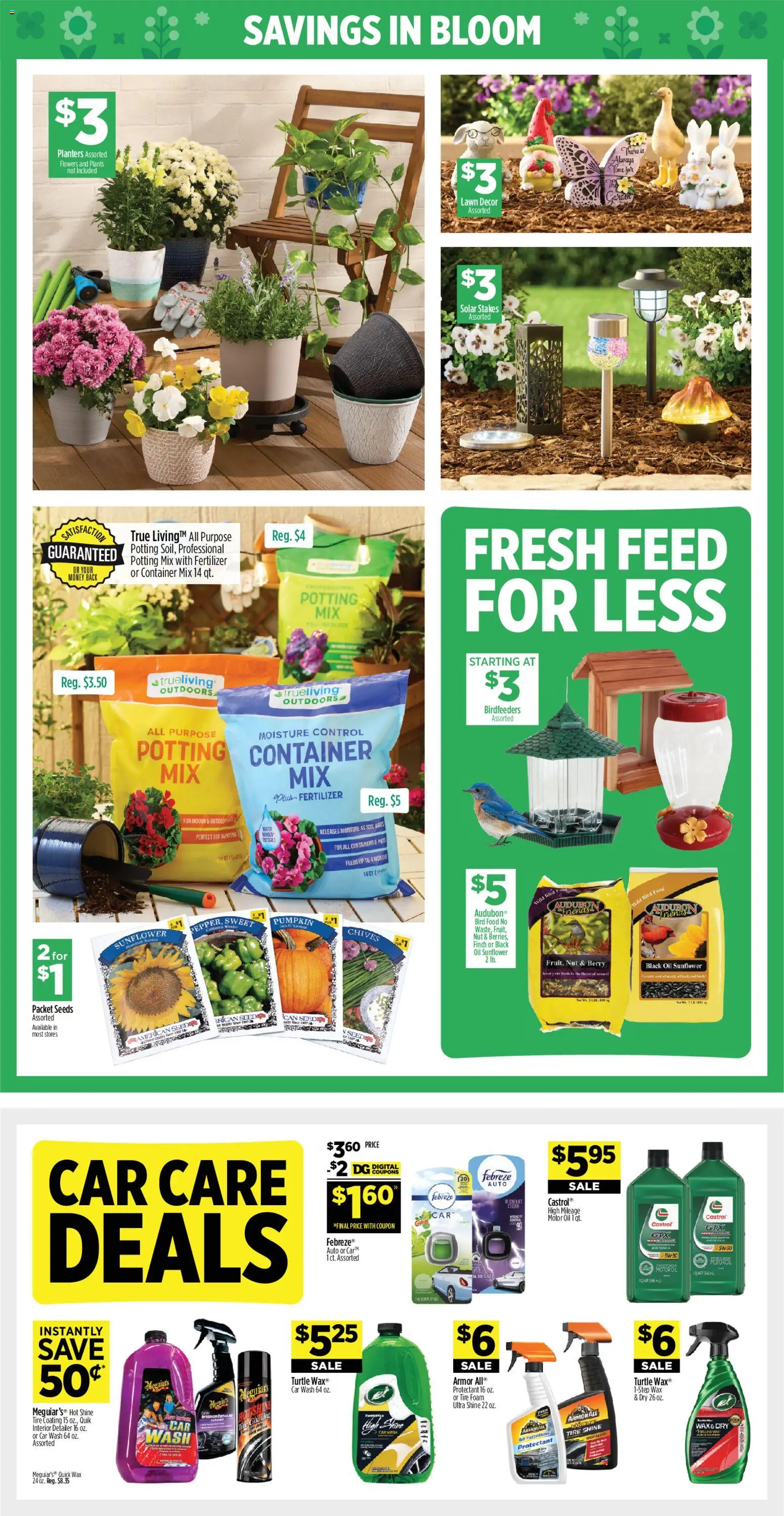 Dollar General Weekly Ad - valid from 08.03.2026 | Page: 17 | Products: Tire, Oil, Pumpkin, Motor Oil