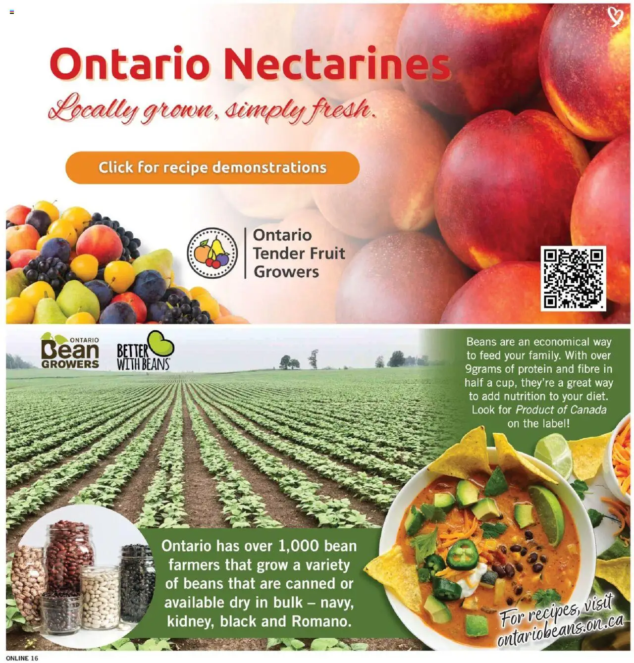 Fortinos flyer valid from 31.07.2025 | Page: 16