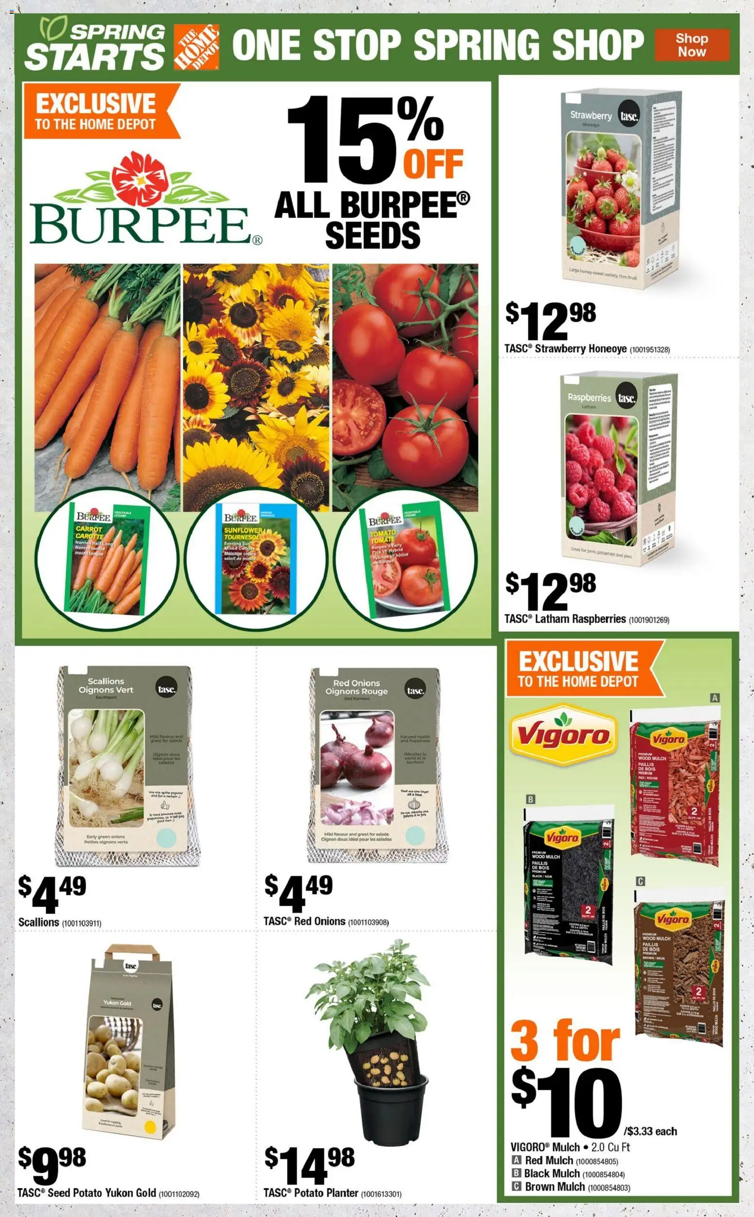 Home Depot flyer valid from 16.04.2026 | Page: 3 | Products: Carrot