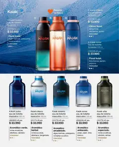 Natura catálogo │ válido desde el 16.06.2025 | Página: 42 | Productos: Eau de toilette, Pintura