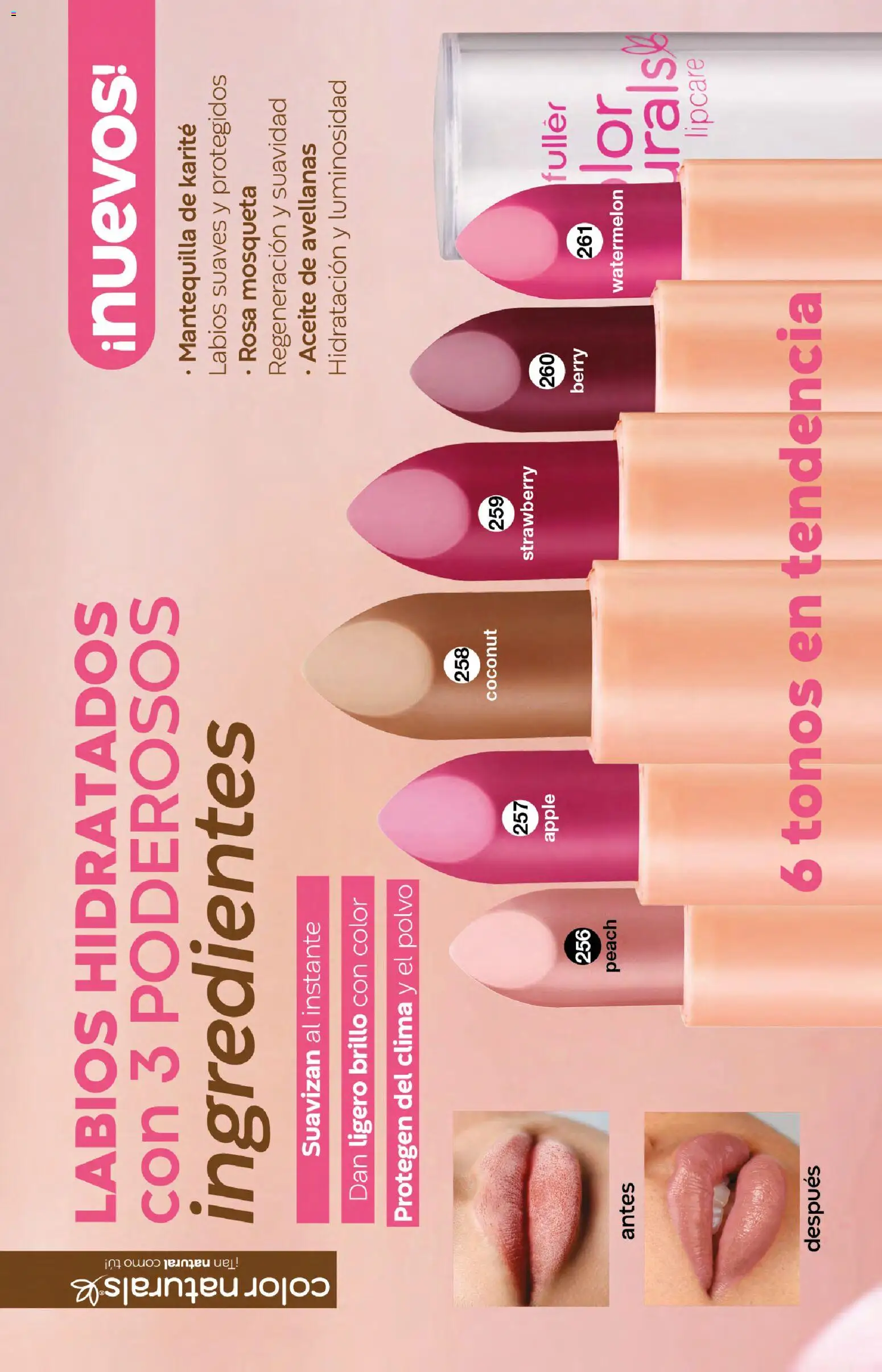 Nuevas ofertas de Fuller válidas en toda la República Mexicana desde el 10.12.2025. ¡Encuentra las mejores ofertas en Fuller campaña 18 2025! | Página: 123 | Productos: Mantequilla, Brillo, Aceite, Polvo