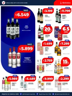 Vital ofertas │ válido desde el 14.07.2025 | Página: 13