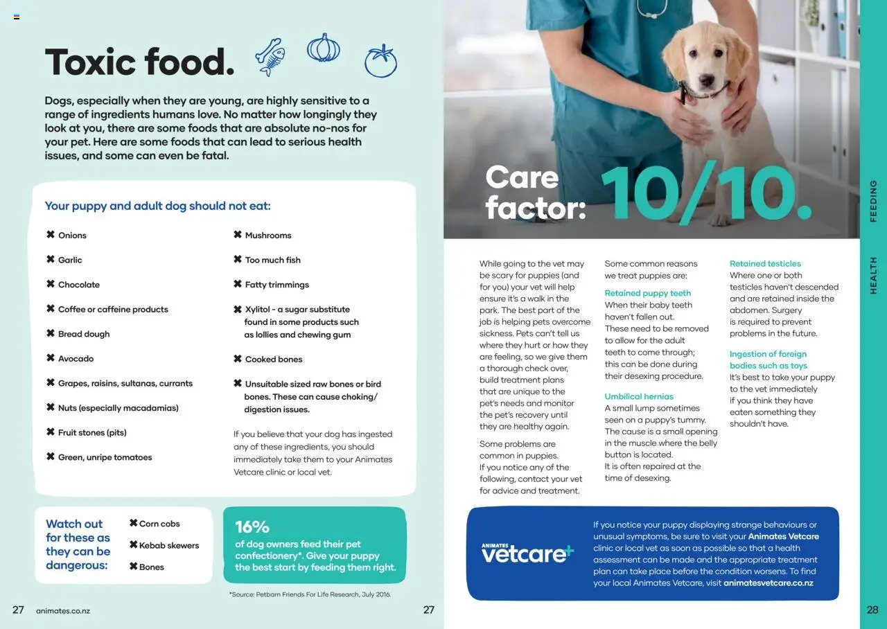 Animates catalogue from 01.01.2024 | Page: 15