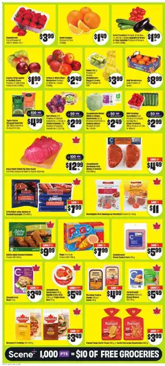 Preview of FreshCo weekly flyer / circulaire from shop FreshCo valid from 22.01.2026 | Page: 3