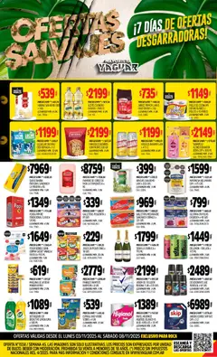 Vista previa Yaguar - General Roca válido desde el 03.11.2025