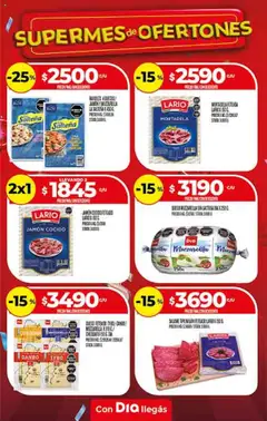 Vista previa Supermercado DIA Ofertas válido desde el 08.10.2025 | Página: 10