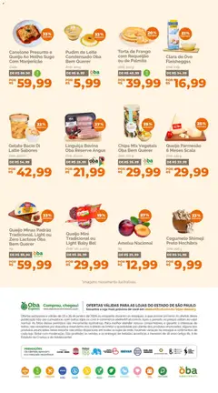 Oba Hortifruti - Ofertas da semana - Pré-Visualização do folheto da loja Oba Hortifruti, válido de 23.01.2026 | Página: 7