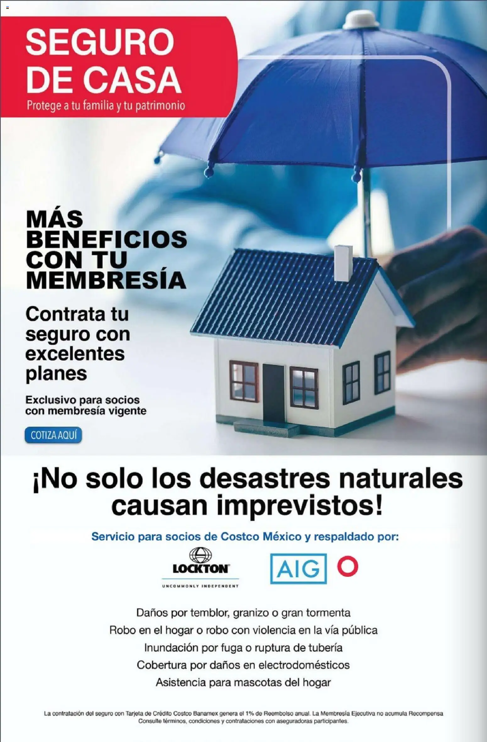 Nuevas ofertas de Costco válidas en toda la República Mexicana desde el 01.01.2026. ¡Encuentra las mejores ofertas en Costco - Revista Enero! | Página: 22