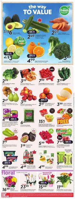 Preview of Safeway weekly flyer / circulaire from shop Safeway valid from 19.02.2026 | Page: 7 | Products: Carrot, Salad, Potatoes, Apples