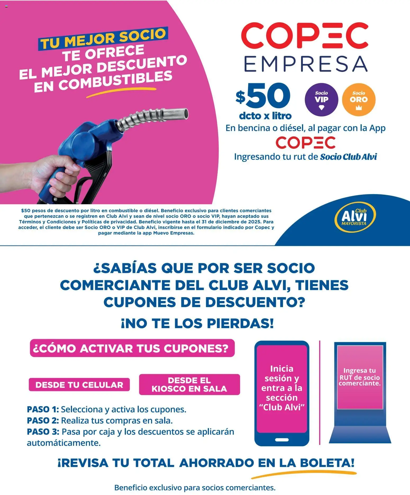 Alvi catálogo │ válido desde el 10.12.2025 | Página: 12 | Productos: Caja, Té