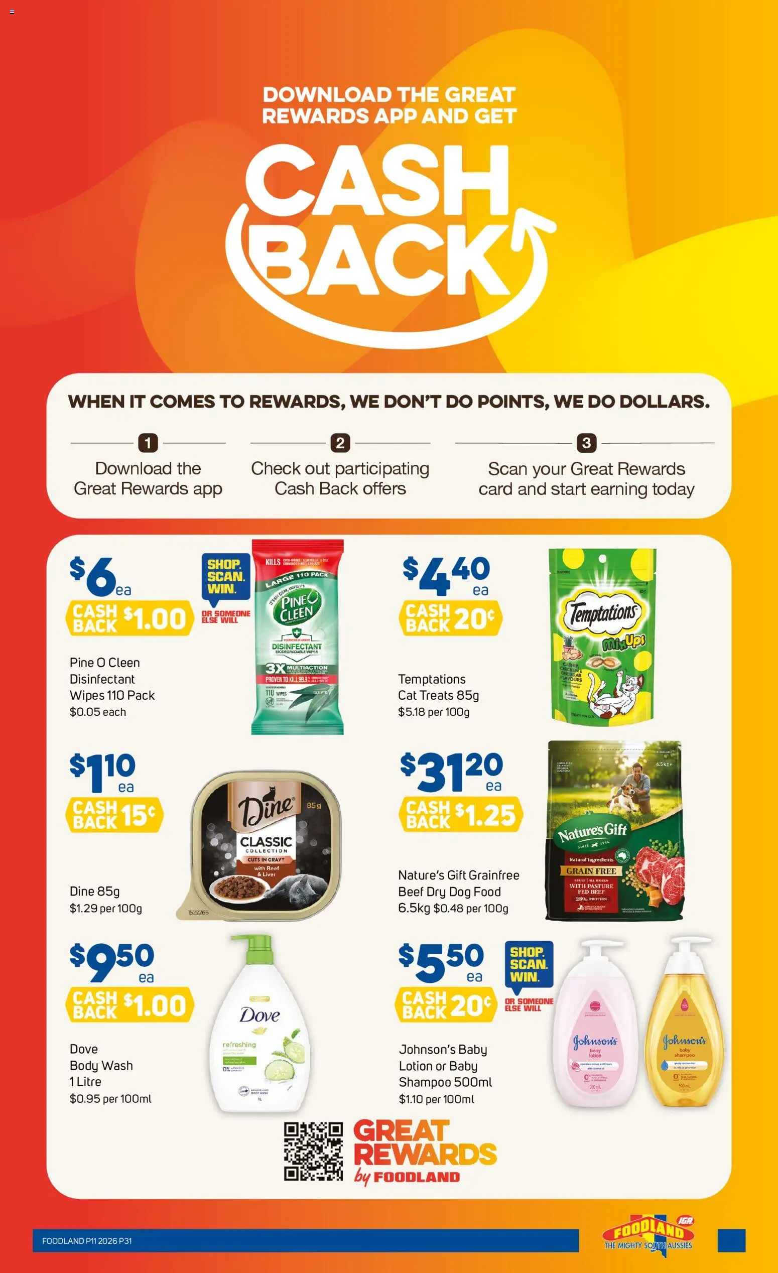 Foodland catalogue - valid from 11.03.2026 | Page: 31 | Products: Household, Shampoo, Beef, Dog food
