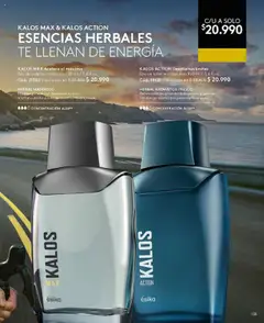 Catálogo Ésika Campaña 15 │ válido desde el 15.09.2025 | Página: 135 | Productos: Esencias, Jengibre, Té, Aceite