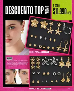 Catálogo CyZone Campaña 18 válido desde el 01.12.2025 | Página: 99