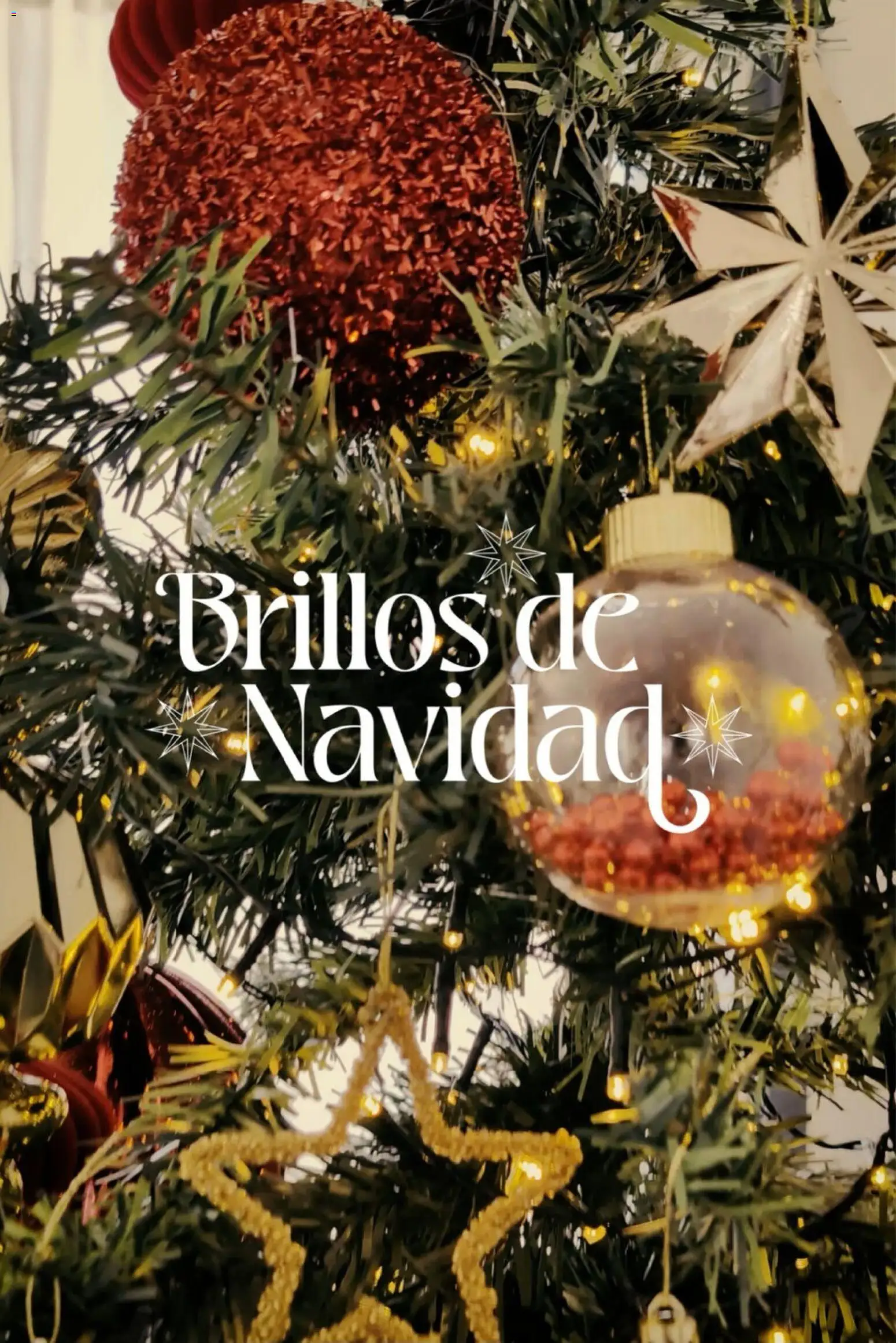 Easy - Catálogo - Navidad │ válido desde el 27.10.2025 | Página: 10