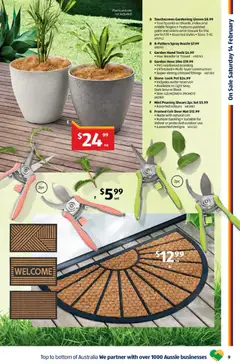 Preview of Catalogue Aldi - valid from 11.02.2026 | Page: 9