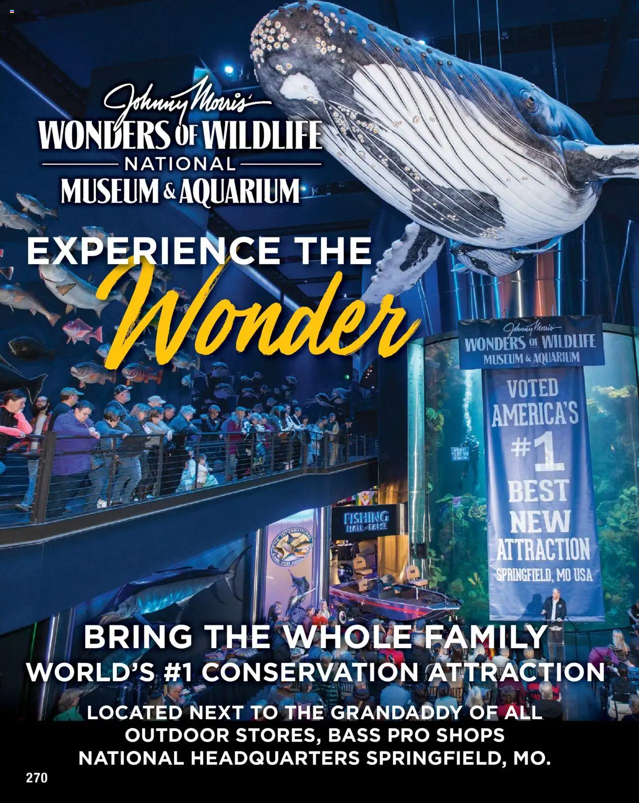 Cabela's Saltwater Specialist 25 - valid from 01.01.2025 | Page: 270