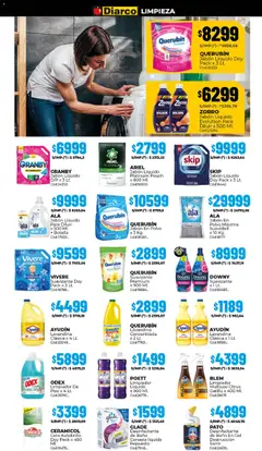 Vista previa Diarco - Ofertas Sur válido desde el 20.04.2026 | Página: 17 | Productos: Baño, Jabón en polvo, Cera, Canasta