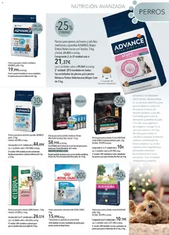 Vista previa de El Corte Inglés catálogo Mascota Diciembre, nuevo folleto de la tienda, válido en México a partir del 01.12.2025 | Página: 3