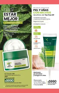 Vista previa Gigot - CAMPAÑA 06 válido desde el 15.03.2026 | Página: 52 | Productos: Hongos, Crema