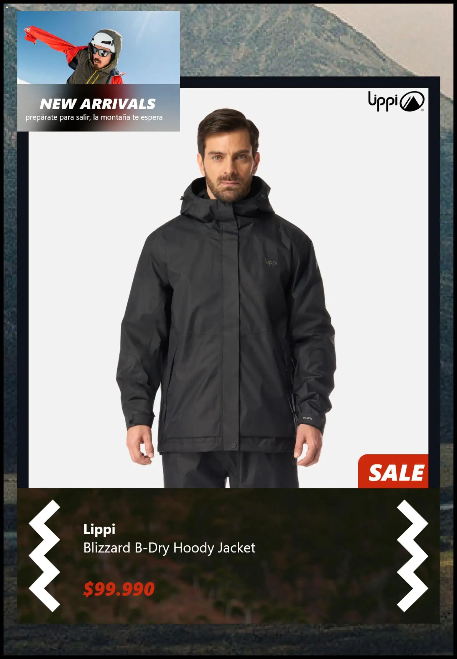 Lippi ofertas  │ válido desde el 19.03.2026 | Página: 3 | Productos: Té