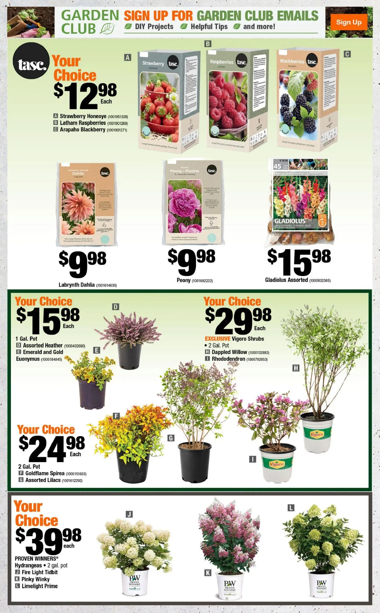 Home Depot flyer valid from 30.04.2026 | Page: 3 | Products: Fragrance