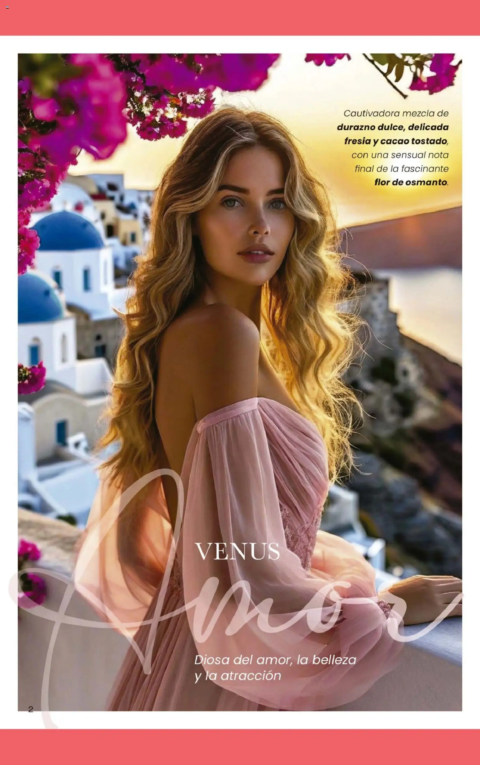 Gigot - CAMPAÑA 04 │ válido desde el 05.02.2026 | Página: 8