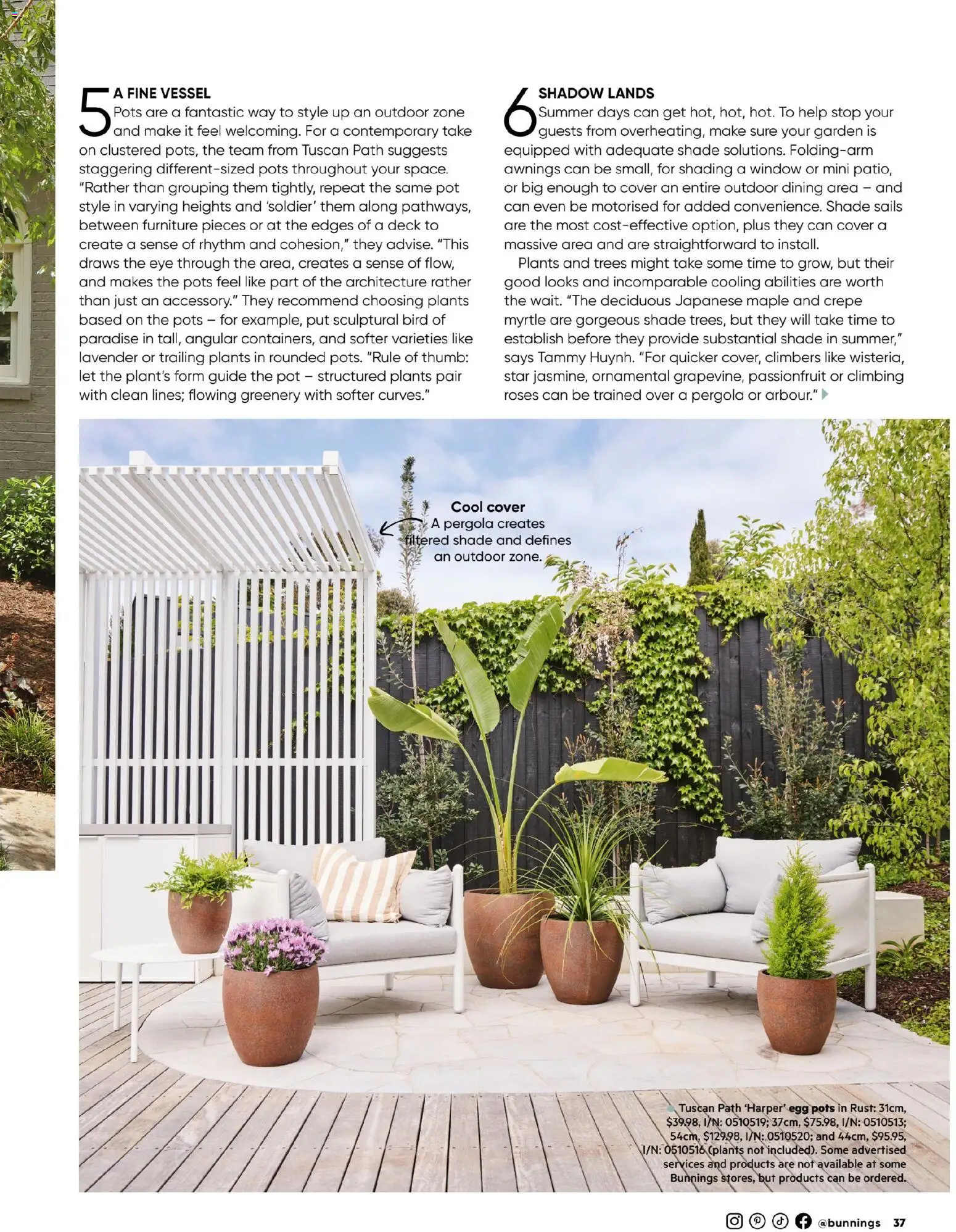 Bunnings Warehouse catalogue - valid from 01.11.2025 | Page: 37 | Products: Pot, Window, Passionfruit