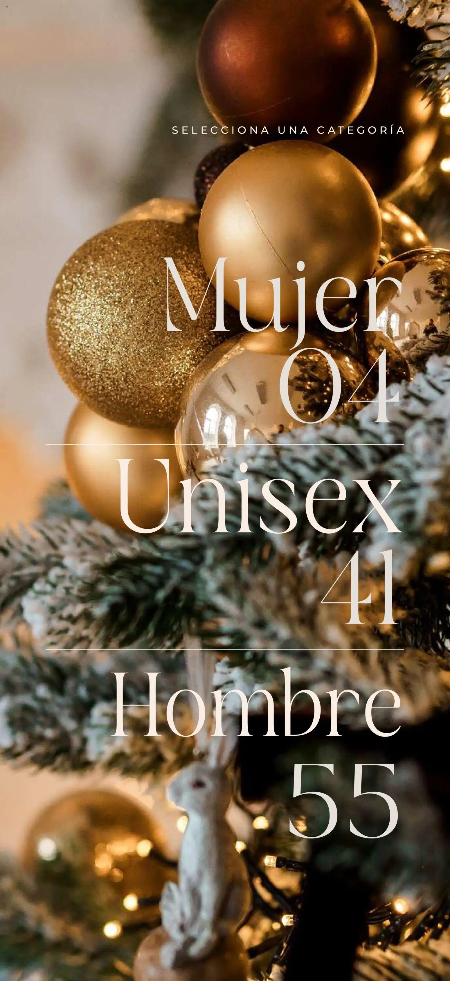 Nuevas ofertas de SC Pakar válidas en toda la República Mexicana desde el 14.11.2025. ¡Encuentra las mejores ofertas en SC Pakar catálogo Regalos Premium! | Página: 3