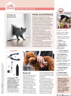 Preview of Catalogue Bunnings Warehouse October - valid from 01.10.2025 | Page: 79