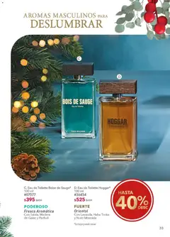 Vista previa de Yves Rocher campaña 17 2025, nuevo folleto de la tienda, válido en México a partir del 09.12.2025 | Página: 33
