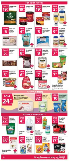 Preview of Co-op Gold Flour, 5 kg from shop Co-op Food valid from 19.03.2026 | Page: 9 | Products: Dishwasher, Detergent, Coffee, Chocolate