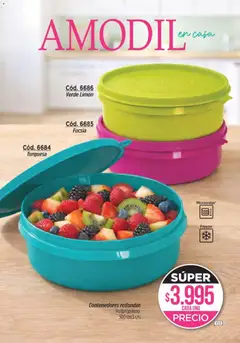Vista previa Catálogo Amodil Campaña 5 válido desde el 12.02.2026 | Página: 103 | Productos: Limón, Freezer