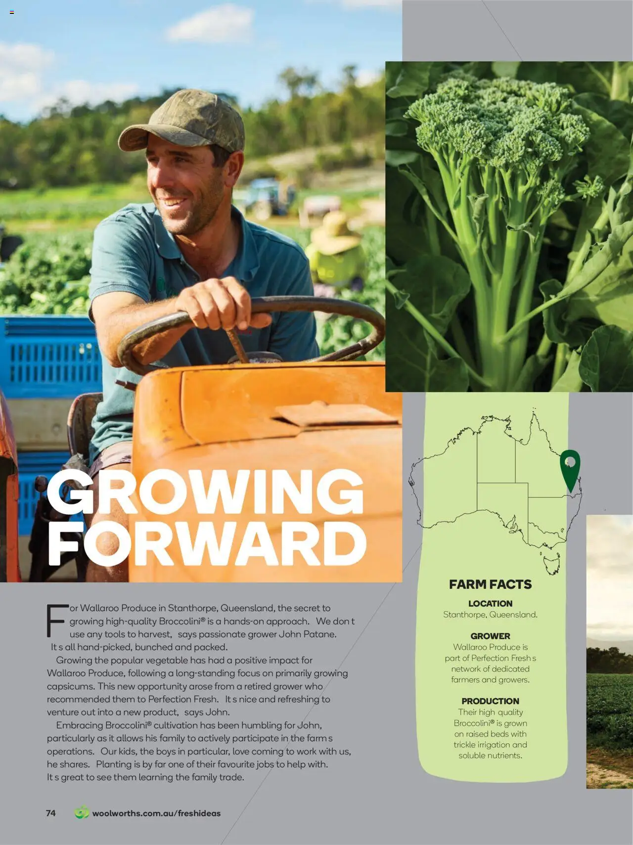 Woolworths catalogue - valid from 01.07.2025 | Page: 74 | Products: Irrigation, Tools