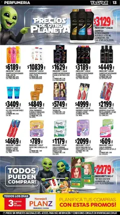 Vista previa Yaguar - Oferta Semanal Neuquen válido desde el 02.03.2026 | Página: 13 | Productos: Tintura, Soda, Pomelo, Crema