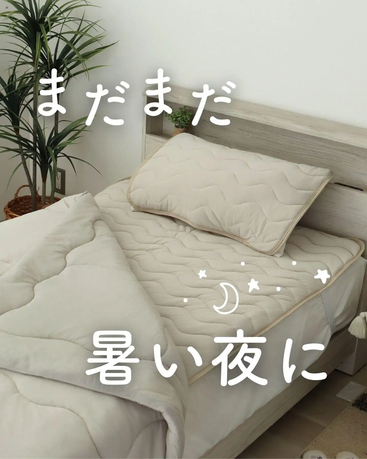  | ページ: 1