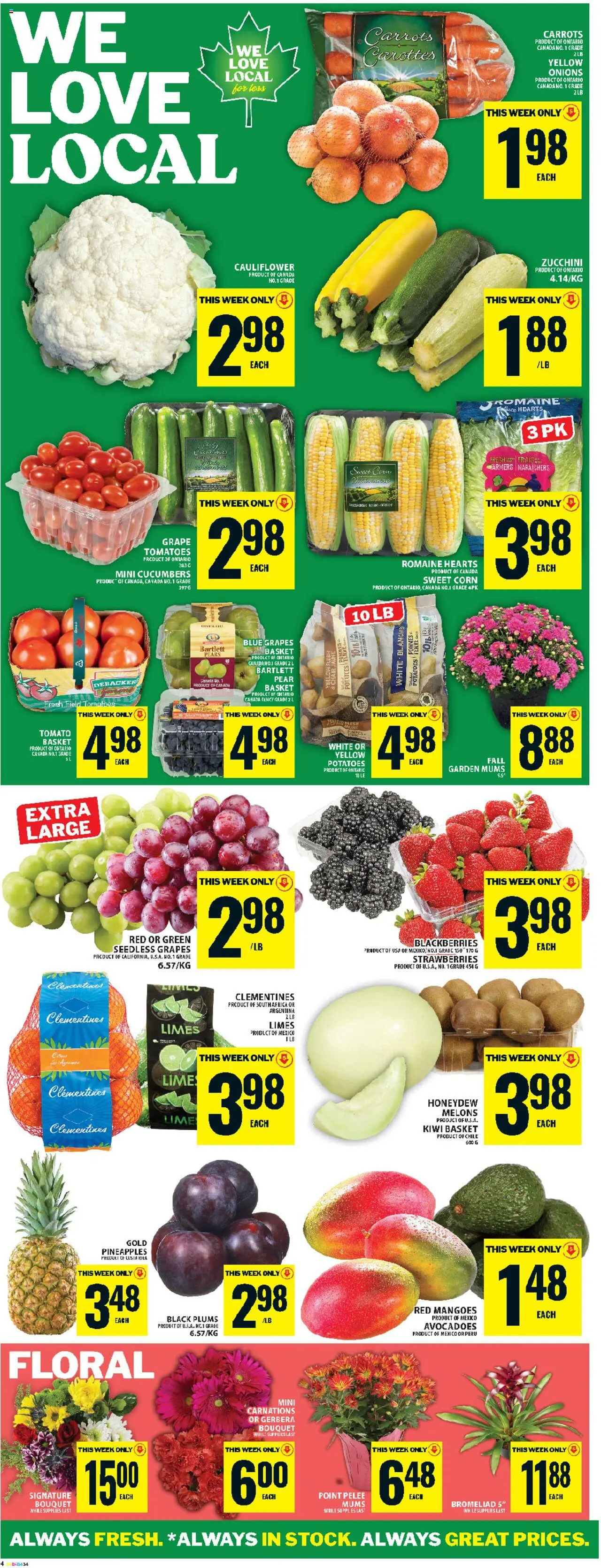 Food Basics flyer valid from 04.09.2025 | Page: 7 | Products: Kiwi, Potatoes, Chair, Basket
