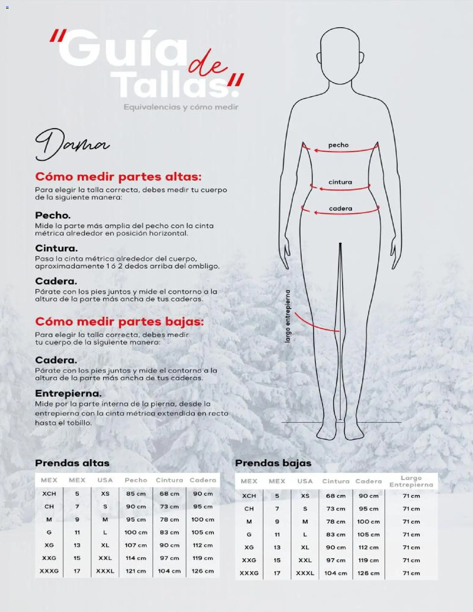 Nuevas ofertas de Price Shoes válidas en toda la República Mexicana desde el 16.11.2025. ¡Encuentra las mejores ofertas en Price Shoes catálogo Navidad Ropa! | Página: 24 | Productos: Contorno, Cinta, Cinta métrica