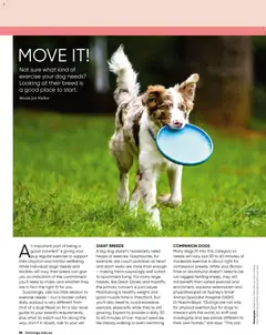 Preview of Bunnings Catalogue - valid from 01.04.2026 | Page: 58