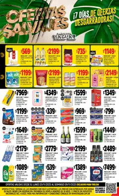 Vista previa Yaguar - Trelew válido desde el 03.11.2025