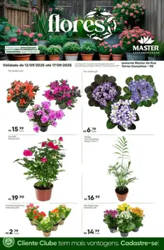 Master - Ofertas Flores - Pré-Visualização do folheto da loja Master, válido de 12.09.2025