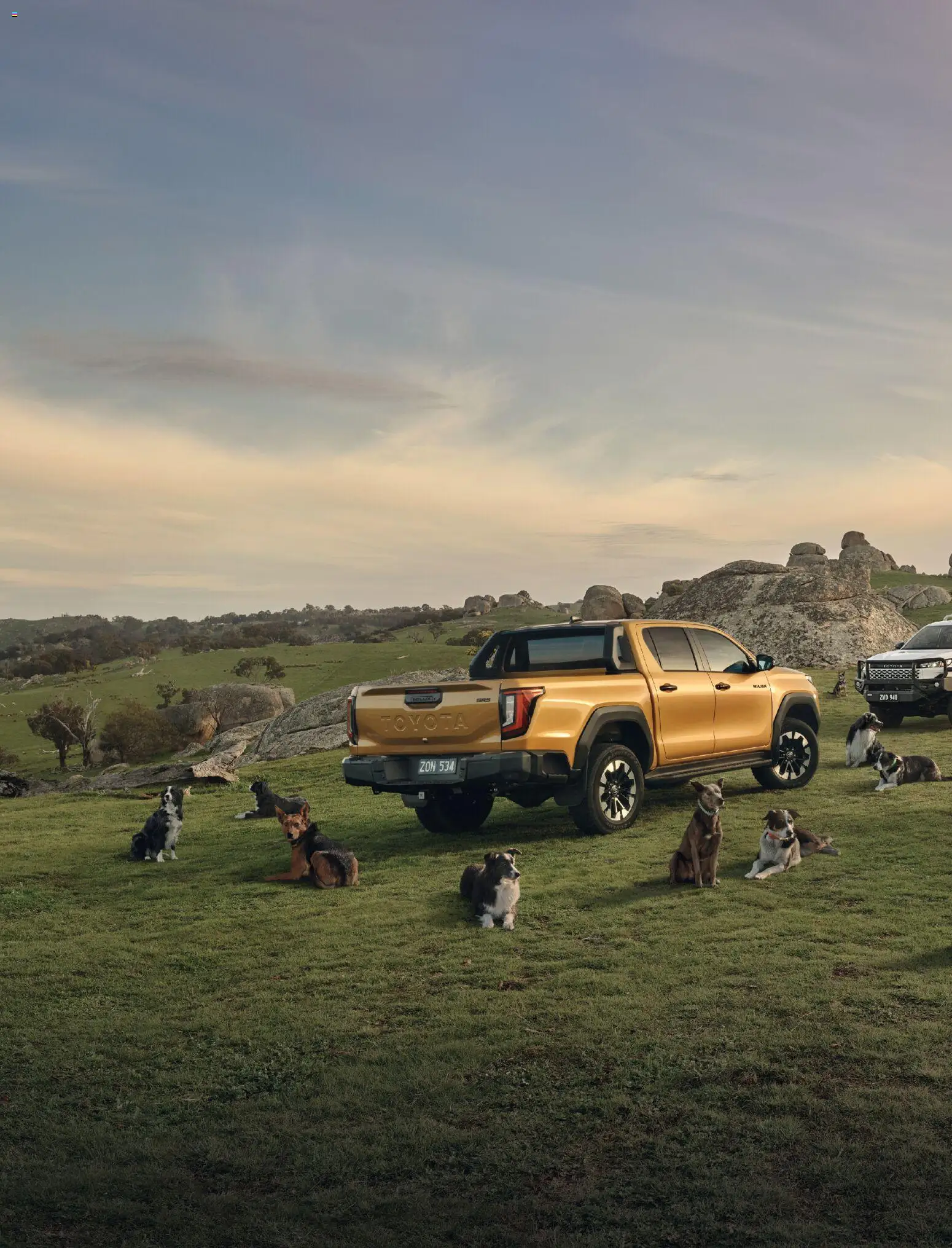 Bunnings Warehouse catalogue - valid from 01.02.2026 | Page: 22