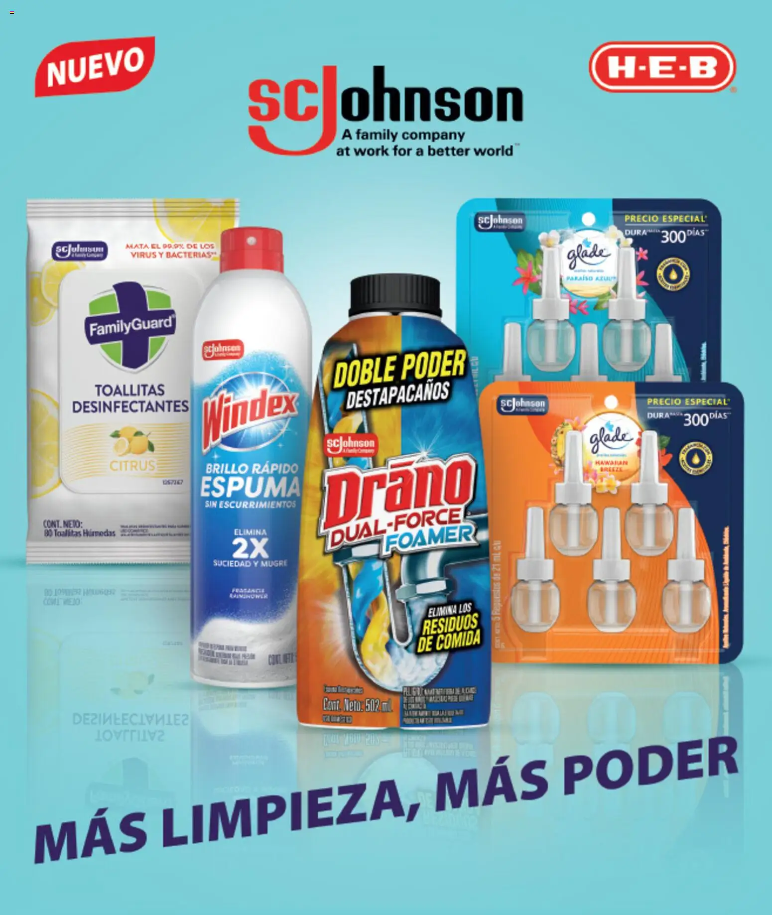 Nuevas ofertas de H-E-B válidas en toda la República Mexicana desde el 01.02.2026. ¡Encuentra las mejores ofertas en H-E-B folleto Celebra! | Página: 59 | Productos: Brillo, Destapacaños, Espuma