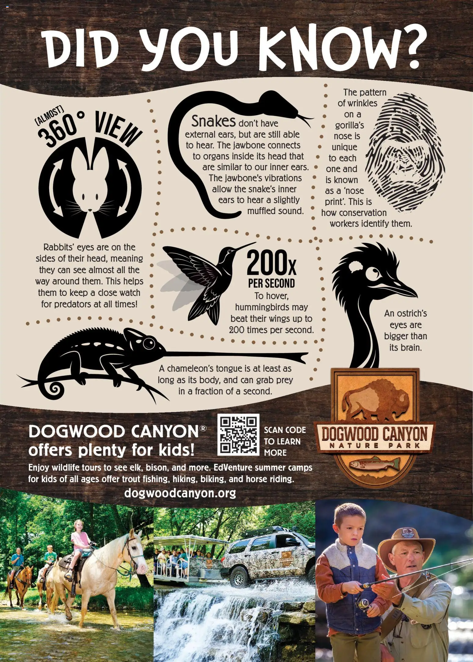 Cabela's Kids' Wishbook 25 - valid from 01.11.2025 | Page: 46 | Products: Sweater, Cardigan, Jeans, Cable