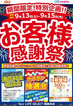 13.09.2025から有効なオファーを含む ヤマダ 電機 - お客様感謝祭